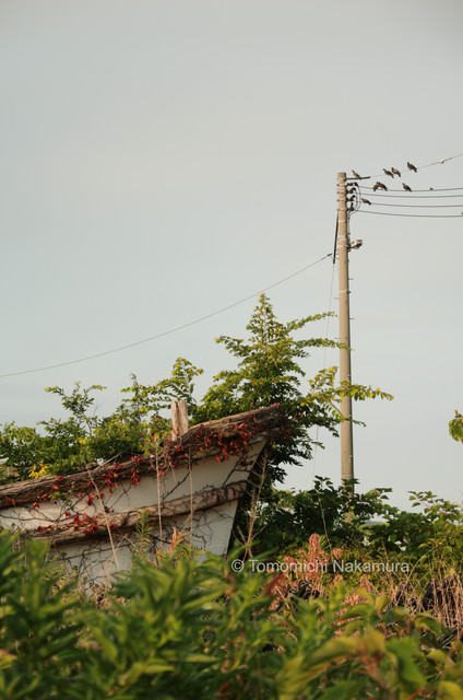 DSC00108-1.jpg