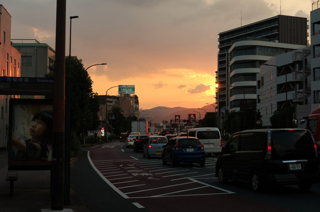 DSC00211.jpg